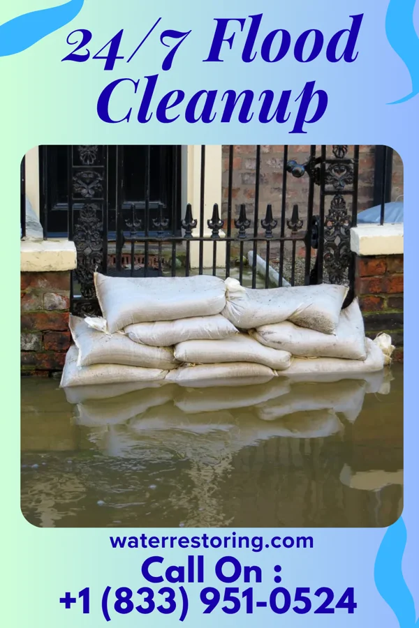 24/7 Flood Cleanup in Leshara, NE