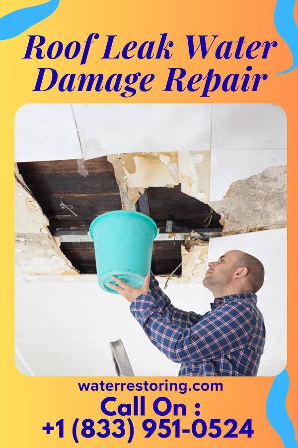 Roof Leak Water Damage Repair in Leshara, NE